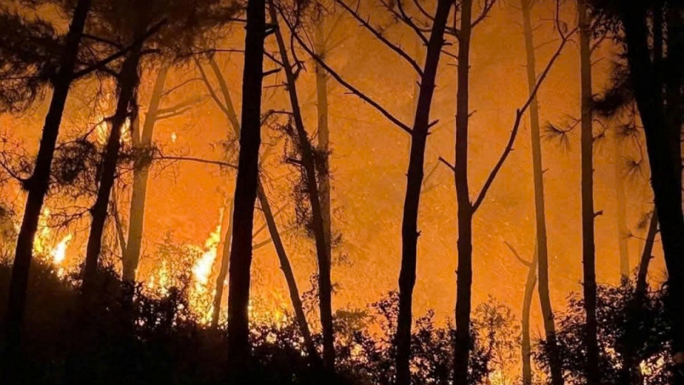 Over 400 people mobilised to contain Nghe An forest fire overnight